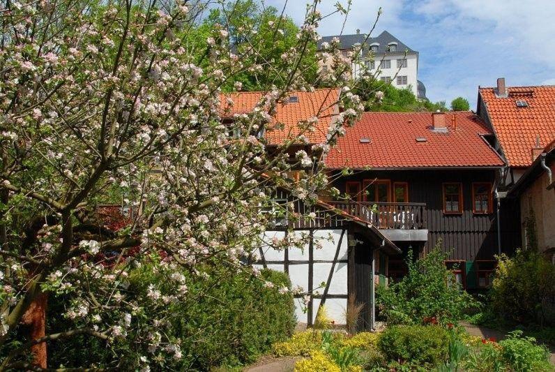 Urlaub-In-Stolberg-Fewo-Eg Appartement Stolberg i. Harz Buitenkant foto